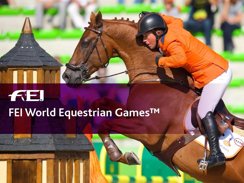 FEI World Equestrian Games™