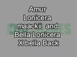 Amur Lonicera maackii  and Bella Lonicera X bella Back