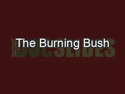 The Burning Bush—Online article archive
