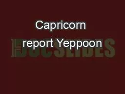 Capricorn report Yeppoon
