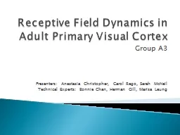 Receptive Field Dynamics in Adult Primary Visual Cortex