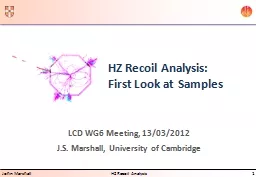HZ Recoil Analysis: