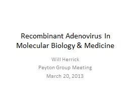 Recombinant Adenovirus In Molecular Biology & Medicine
