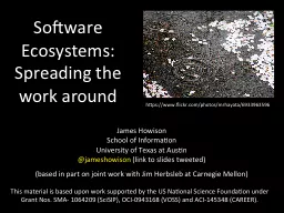 Software Ecosystems: