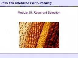 Module 10: Recurrent Selection