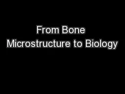 From Bone Microstructure to Biology