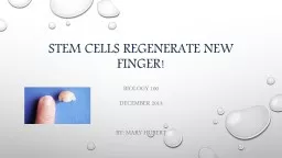 Stem Cells regenerate new finger!