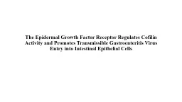 The Epidermal Growth Factor Receptor Regulates