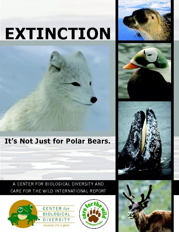 EXTINCTION. t’s Not Just for Polar Bears.A Center for Biological