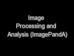 Image Processing and Analysis (ImagePandA)