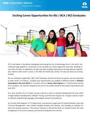 Exciting Career Opportunities for BSc  BCA  BCS Gradua