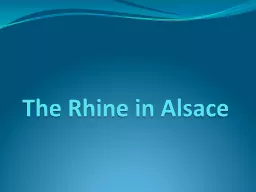 The Rhine in Alsace