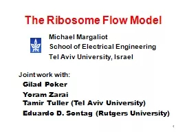 1 The Ribosome Flow Model