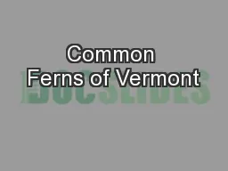 Common Ferns of Vermont