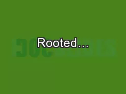 Rooted…