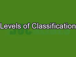 Levels of Classification