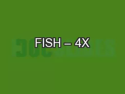 FISH – 4X