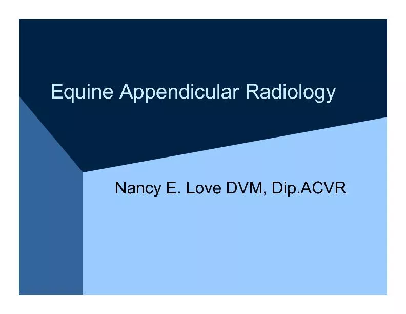 Equine AppendicularRadiology