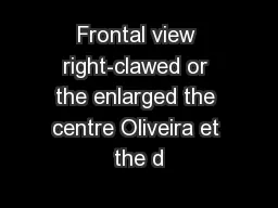 Frontal view right-clawed or the enlarged the centre Oliveira et the d