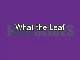 What the Leaf