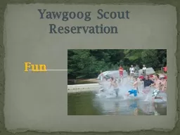 Fun Yawgoog  Scout  Reservation