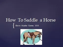 How To Saddle a Horse