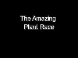 The Amazing Plant Race