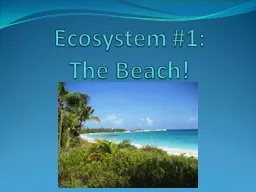 Ecosystem #1: