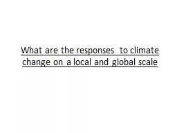 What are the responses to climate change on a local and glo