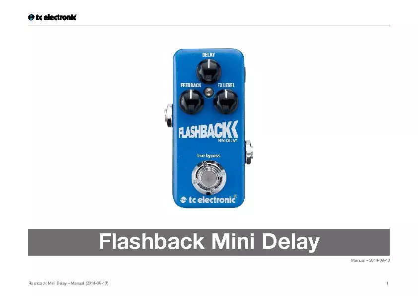 Flashback Mini Delay – Manual (2014-08-13)