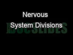 Nervous System Divisions