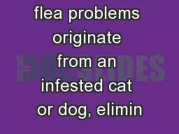 Since most flea problems originate from an infested cat or dog, elimin