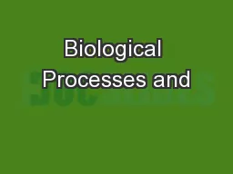 Biological Processes and