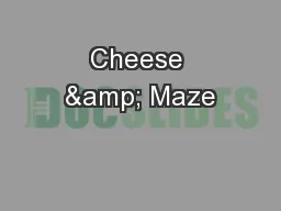 Cheese & Maze