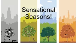 Sensational Seasons!