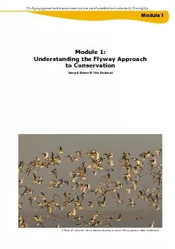 Module 1: Understanding the Flyway Approach to ConservationGer