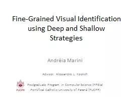 Fine-Grained Visual Identification using Deep and Shallow