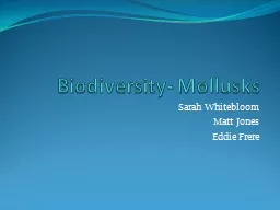 Biodiversity- Mollusks