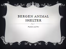 Bergen Animal