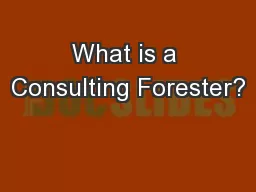 What is a Consulting Forester?