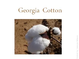 Georgia Cotton