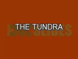 THE TUNDRA
