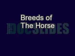 Breeds of The Horse