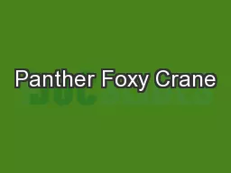 Panther Foxy Crane