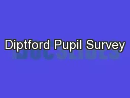 Diptford Pupil Survey