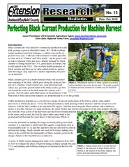 Perfecting black current production for machine harvest