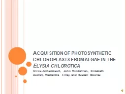 Acquisition of photosynthetic chloroplasts from algae in th
