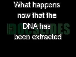 What happens now that the DNA has been extracted