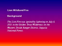 Lion Wildland Fire