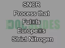 DyNOR™The SNCR Process that Fulls Europe’s Strict Nitrogen